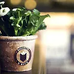 Bett Und Buch Hotel Berlim