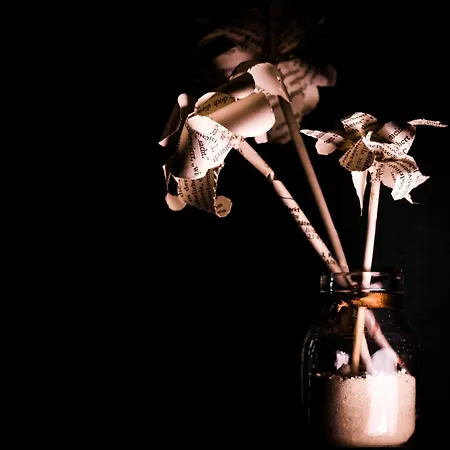 Hotel Bett Und Buch Berlin