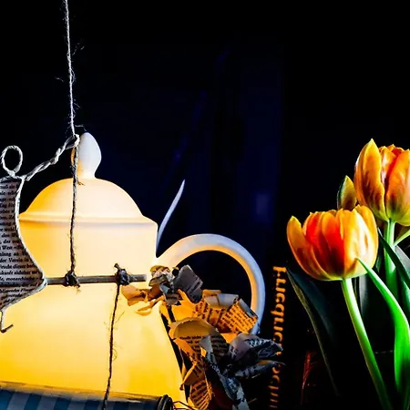 白堤波芝酒店 酒店 柏林