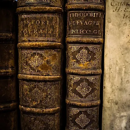 Szálloda Bett Und Buch Berlin