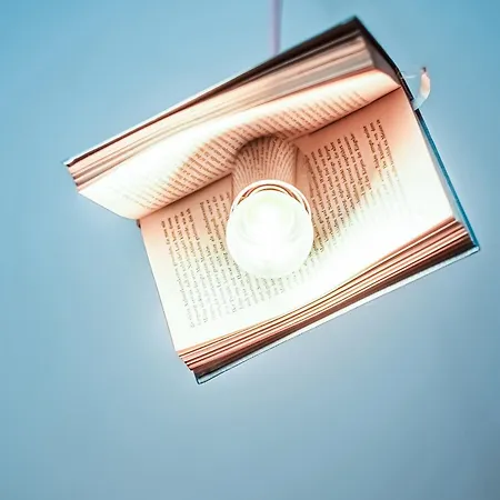 酒店 白堤波芝酒店 3*