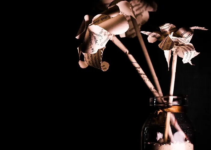 Ξενοδοχείο Bett Und Buch Βερολίνο